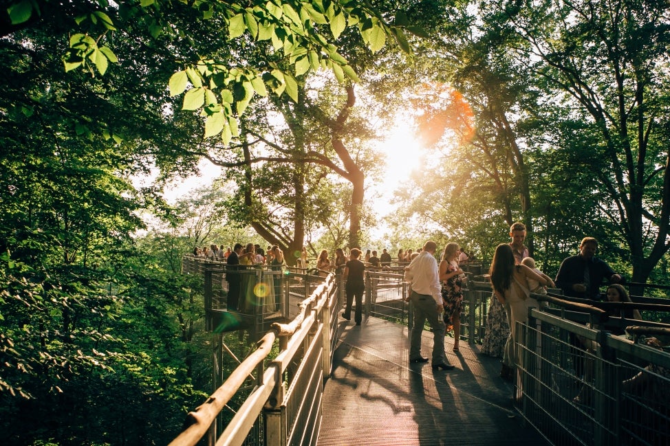 Treetop Reception