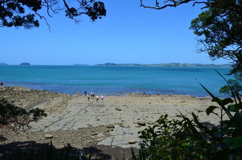 A view of the beach of Omaio, New Zealand from the shore with bright blue water and people walking on the sand. 
