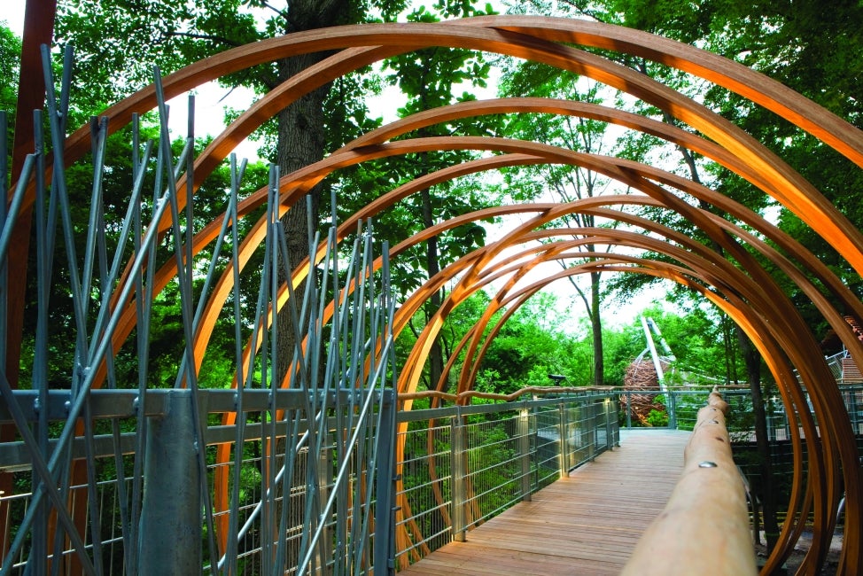 A looping wood archway leading to a elevated canopy walk. 