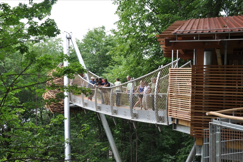 A group of people look over the ledge of a treetop bridge. 