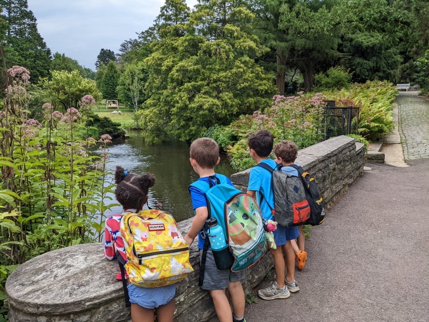 Four young students wearing backpacks look over a bridge into a pond. 