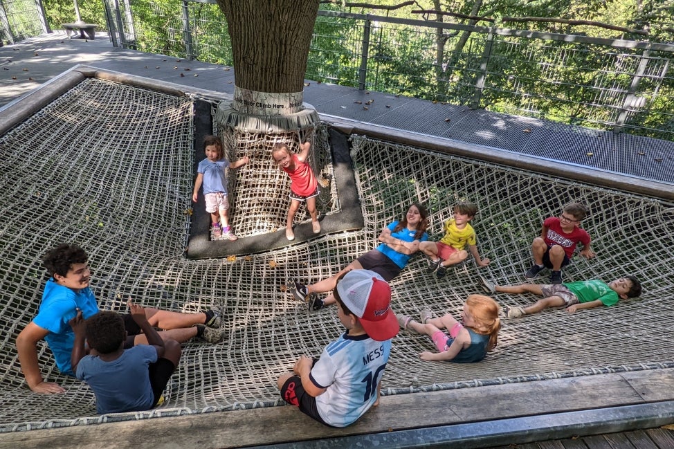 A group of summer camp children and two counselors sit in a large netting hammock. 
