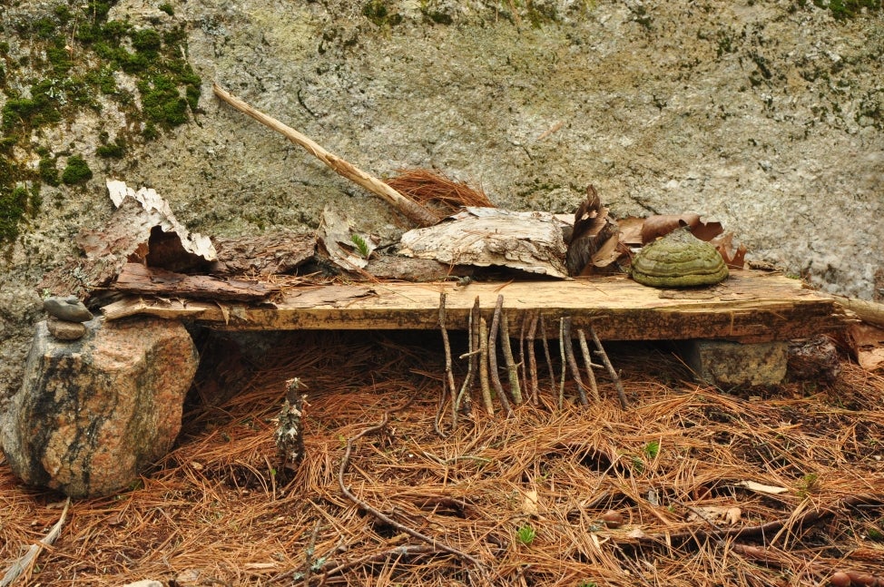 A tiny fairy house built out of wood, bark, sticks, and other natural materials. 