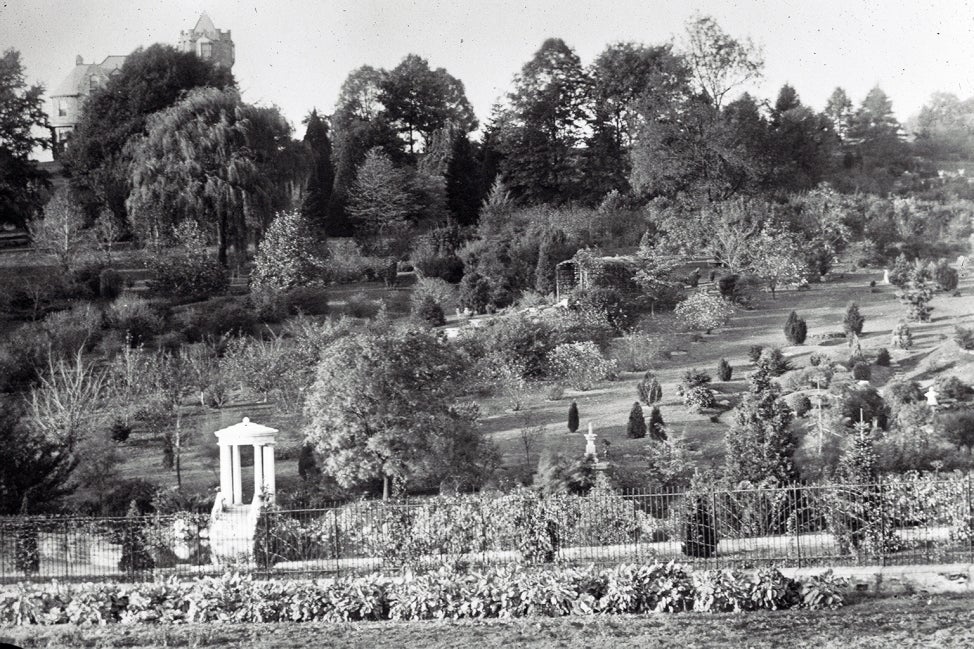 A black and white photo of a garden on a hill.