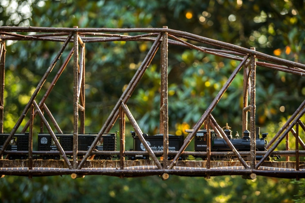 A black miniature trains rides through a bridge made out of twigs.