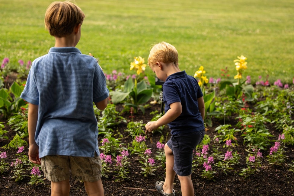 Two young boys facing away from the camera look into a blooming flower garden