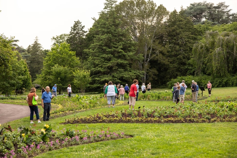 A large group of people mingling in a public garden.