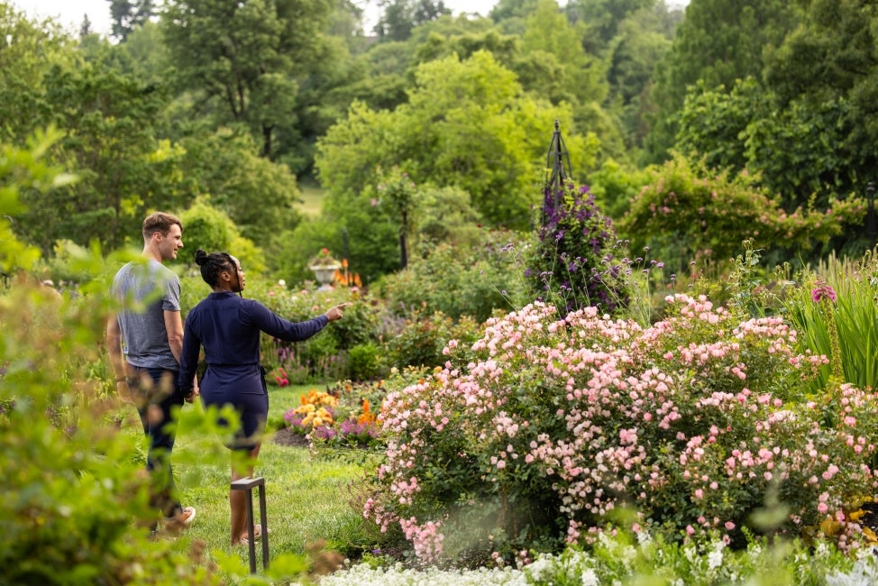 A couple holds hands while walking through a public garden in bloom. 
