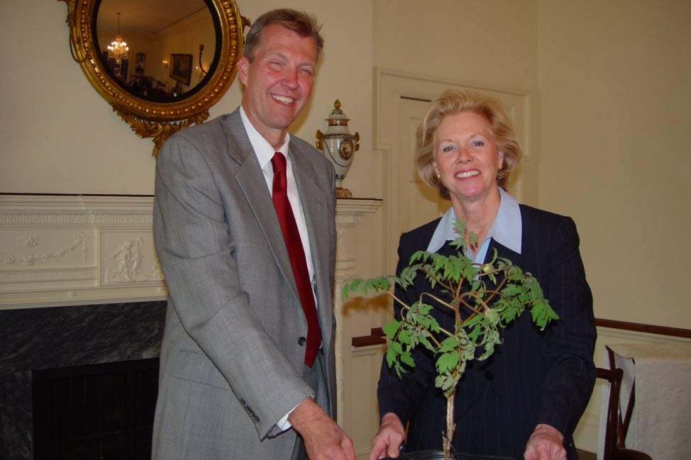 A man and woman pose with a small tree in an office. 