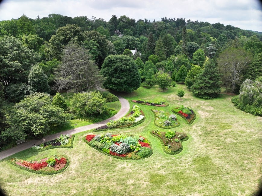 A vibrant garden of multiple beds and lots of colors flowers and foliage. 
