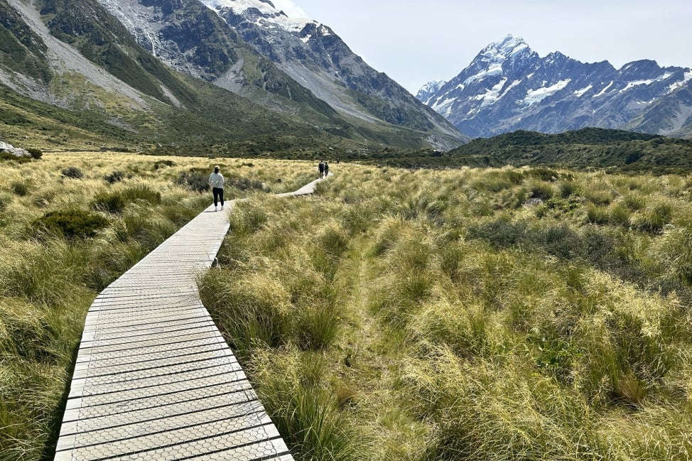 A wooden boardwalk winding through grasslands with mountains in the background.