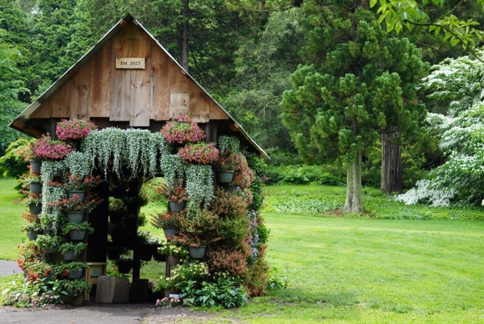 A small wood cottage covered in blooming potted plants and set in a green wooded outdoor space. 