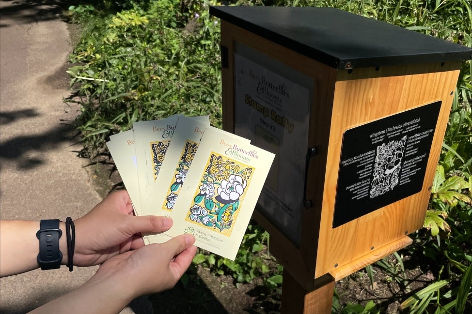 A hand holds three postcards that read, "Bees, Butterflies & Blooms" featuring an illustration of pollinators outside of a small wooden box post