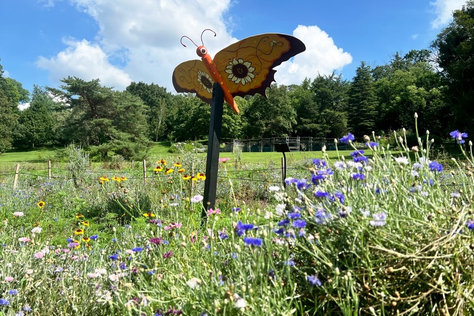 A large sculpture of a butterfly in a field of wildflowers.