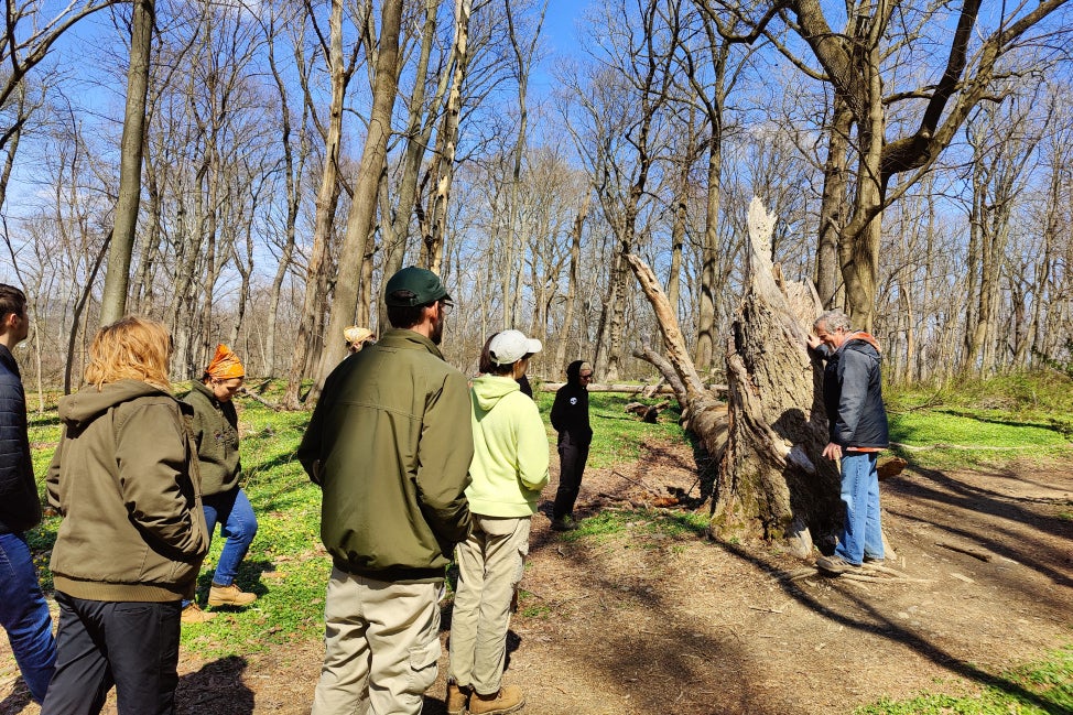 A group of people stand outside in winter coats in a wooded setting while a man leaning on a tree snag talks.