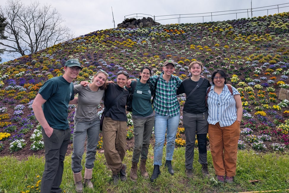 A group of seven people stand in a line with their arms around each other smiling in front of a hill covered in colorful mums. 