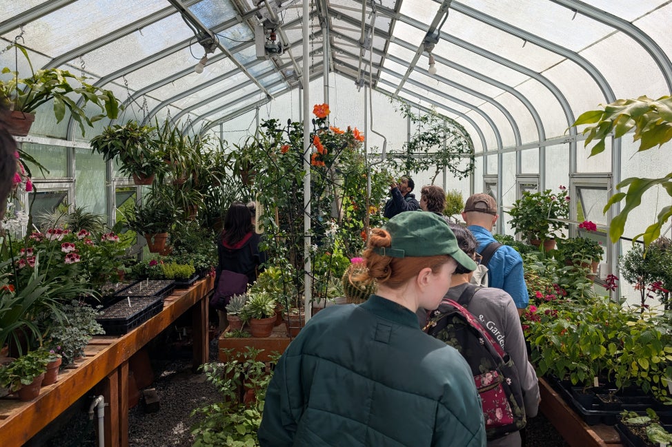 A group of people walk single file through a greenhouse. 