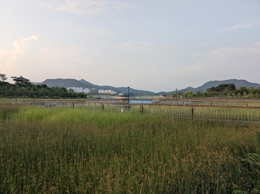 A large meadow in the foreground with mountains and greenery in the background. 