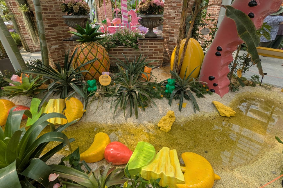 Huge fabricated fruits among plants in a botanical conservatory.
