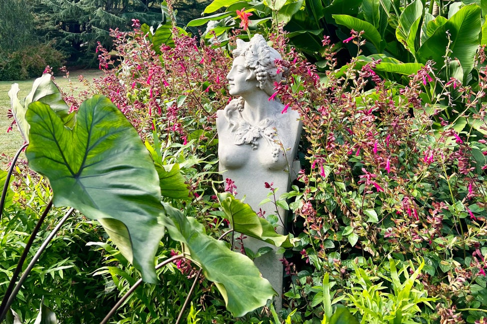 A nymph statue in the middle of a tall growing garden filled with pink flowers and green foliage. 