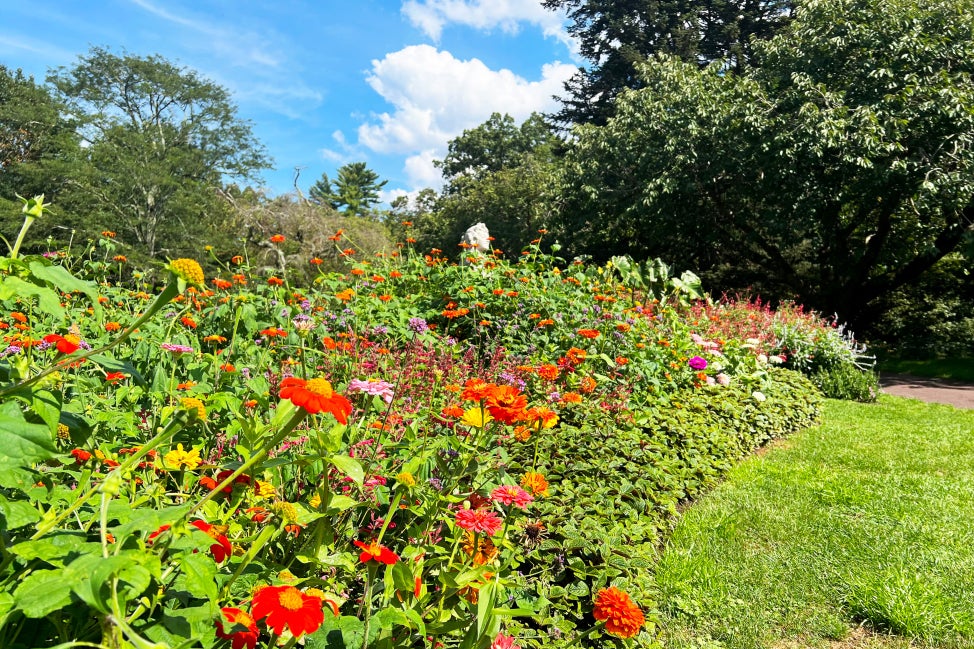 A garden in bloom with bright color flowers and a statue in the distance on a sunny day.