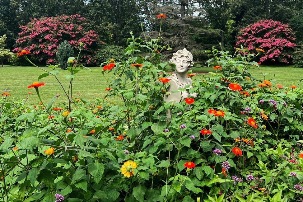 A statue of a nymph among tall, colorful flowers in bloom. 
