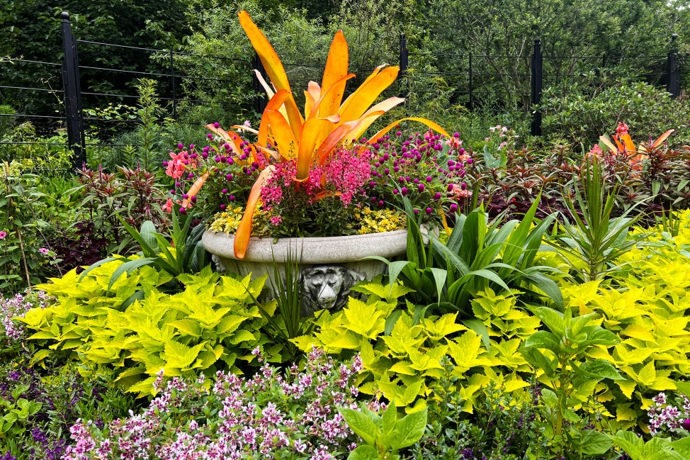 A garden in bloom with different shades of green foliage and a planted filled with a large orange plant surrounded by purple flowers. 