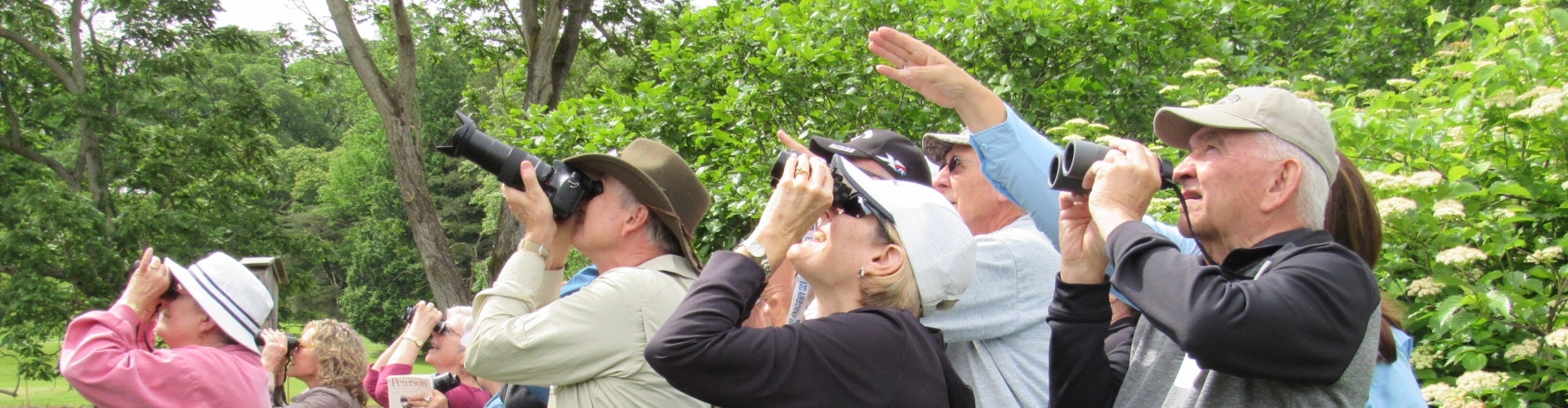 A group people with cameras and binoculars bird watching. 