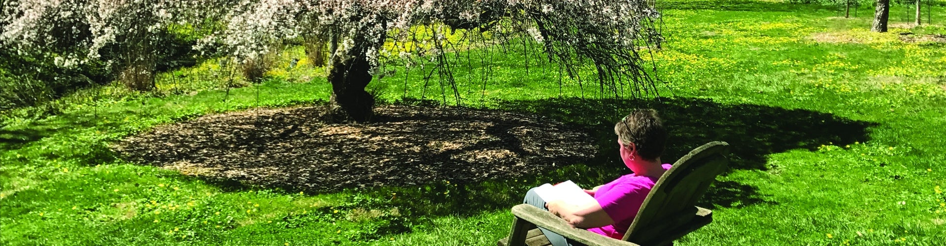 a man reading a book outside, in front of a tree