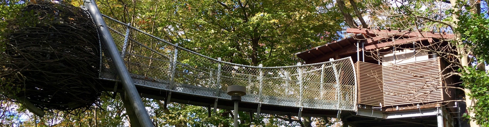 A wooden building in the trees is connected to an oversized birds nest by a metal bridge.