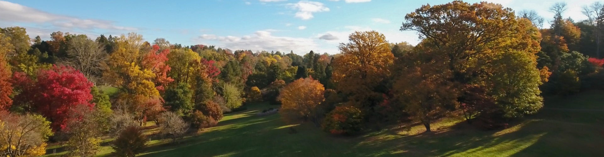 view of trees with fall foliage colors