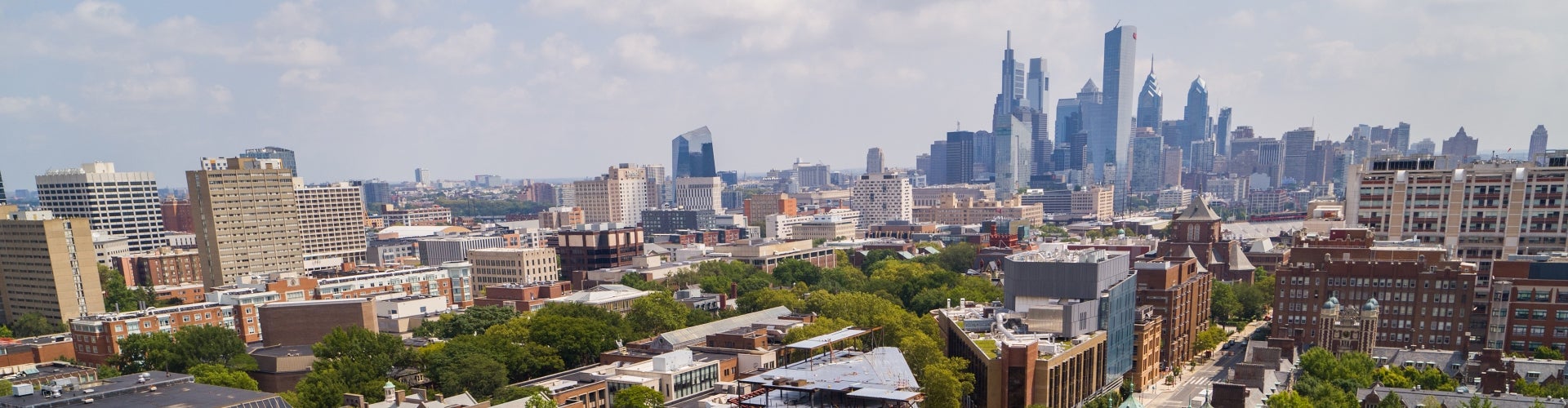 the Philadelphia skyline and trees