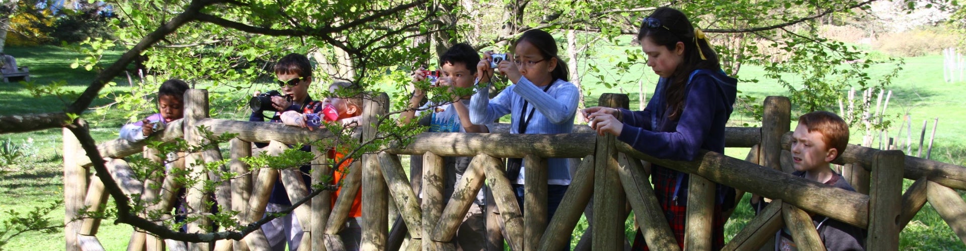 A group of children stand on a bridge and take photographs with cameras. 