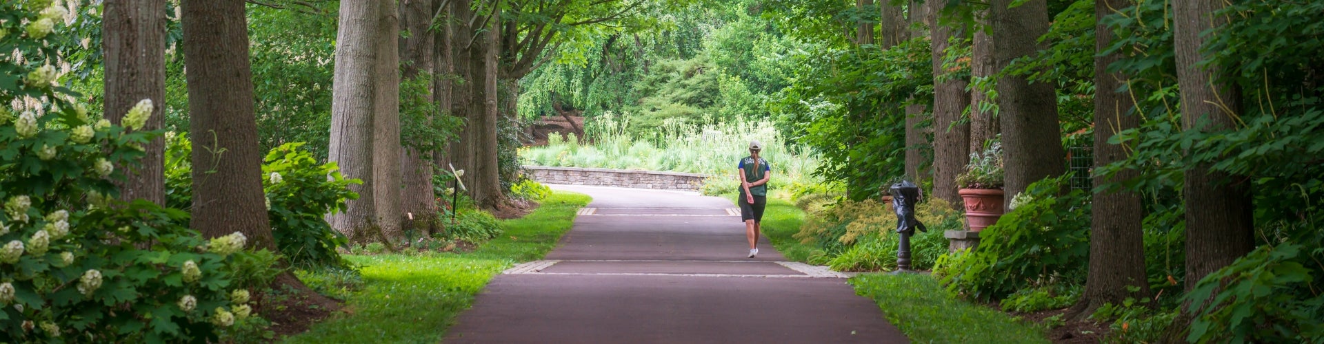 A woman walks along a paved path lined with green summer trees and planters.