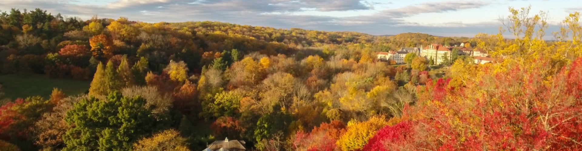 An aerial view of treetops in fall with green, yellow, and orange foliage.