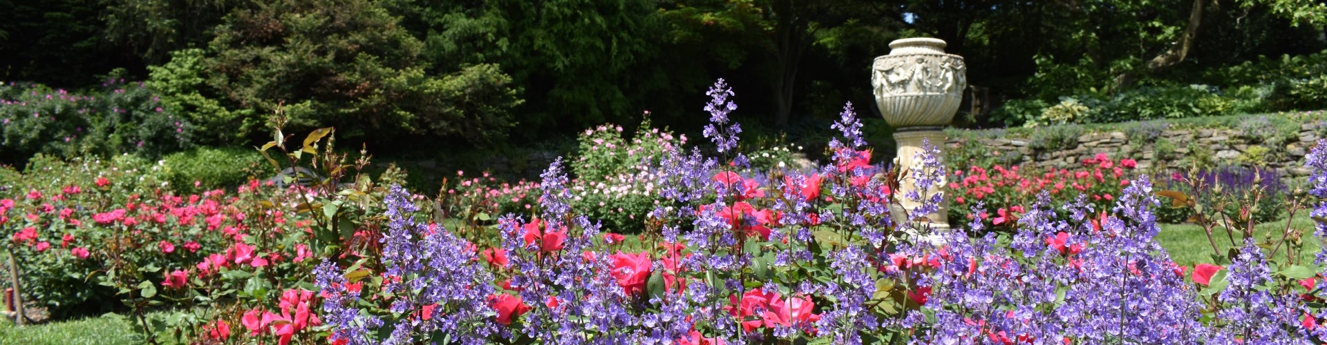 A ceramic sculpture stands to the right of pink rose bushes and purple flowers.