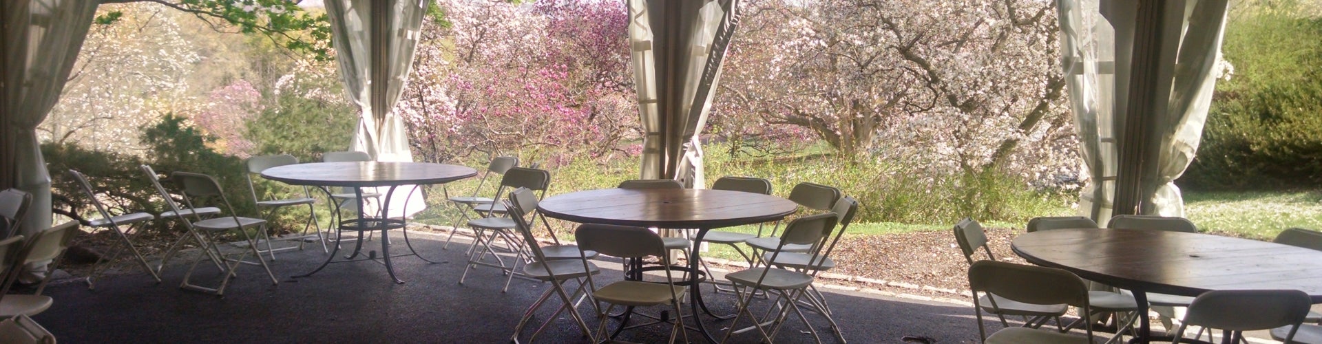 Empty round tables underneath a tent backdropped by flowering pimk and white spring trees.