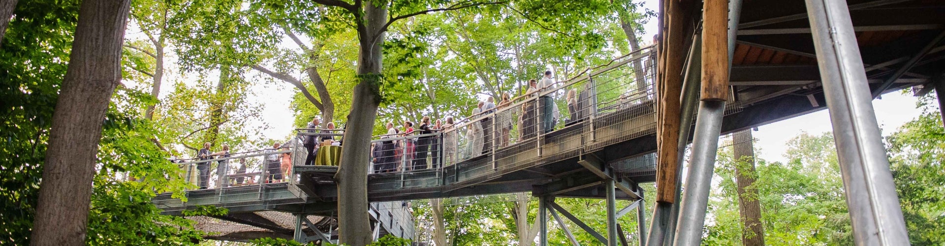 A group of people minge on an elevated platform in the treetops.