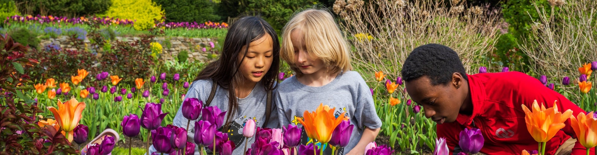 Three children look into orange and purple tulip plantings.