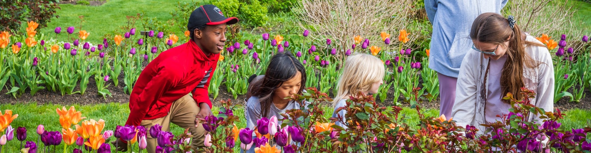 Three children and two adults look closely at orange and purple tulips growing in a garden. 