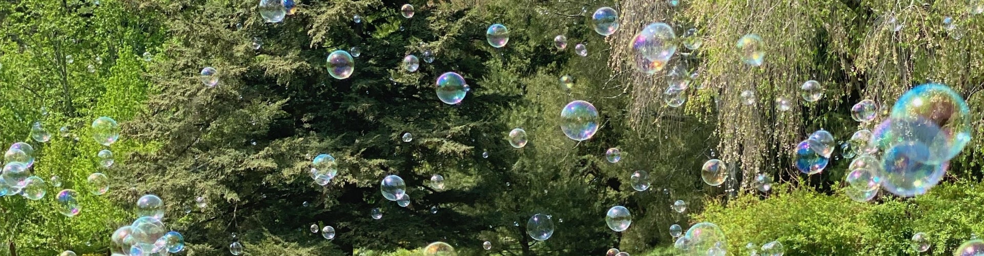 Lots of bubbles in the air with green trees in the background.