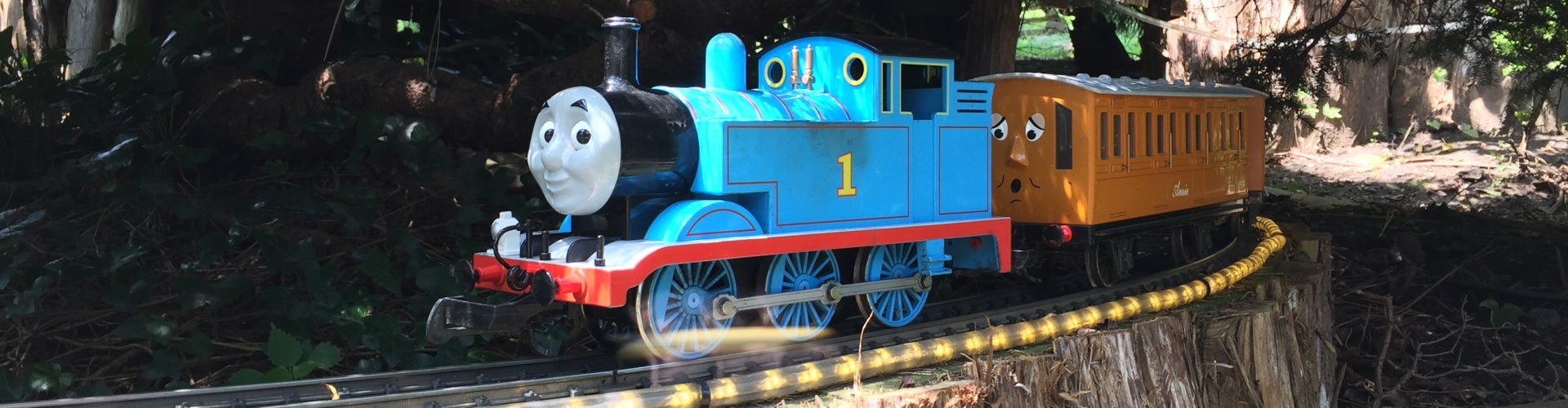 A miniature model train of Thomas the Tank Engine.