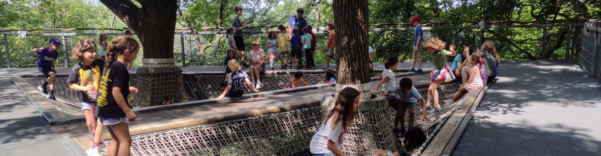 A group of children in summer camp play on a big net on a platform in the treetops. 