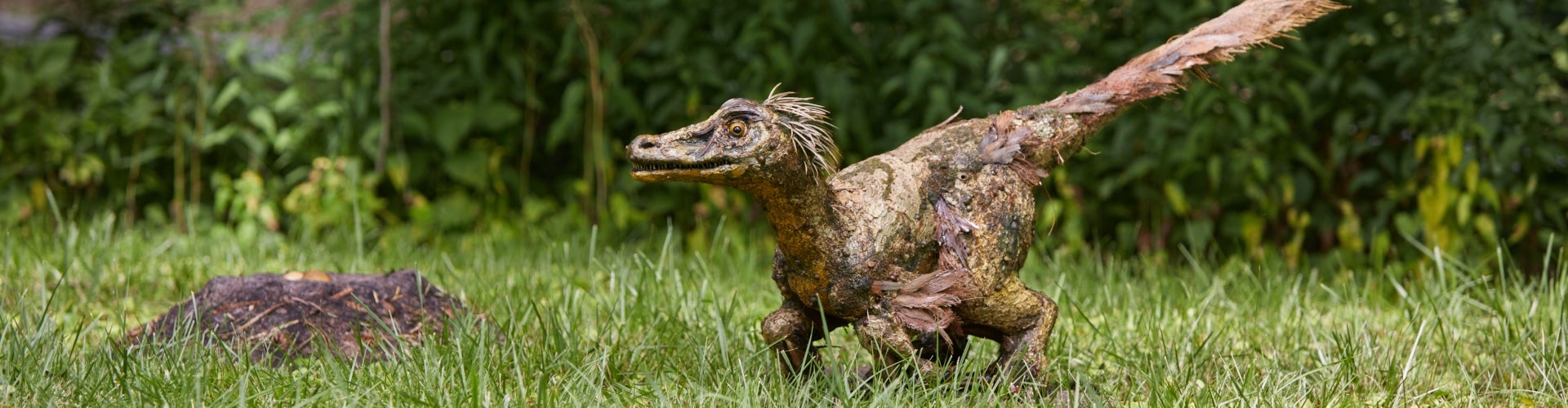 A small fabricated prehistoric creature made of natural materials. 