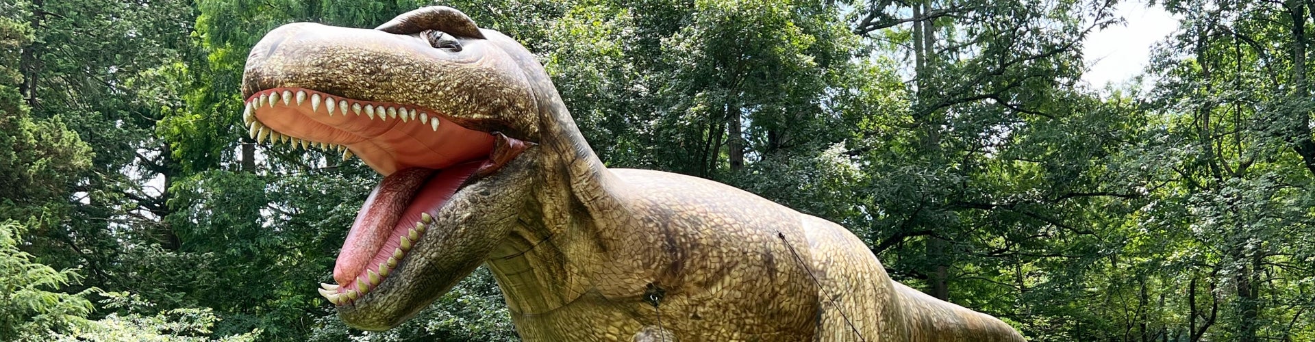 A 25-foot inflatable Tyrannosaurus rex stands outdoors surrounded by green trees. 