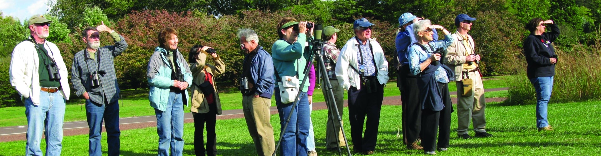 A group of people stand outdoors in a green field looking up at the sky. 