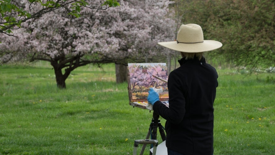 A woman dressed in black with a beige rimmed hate stands in a field painting a tree in bloom with pink flowers.
