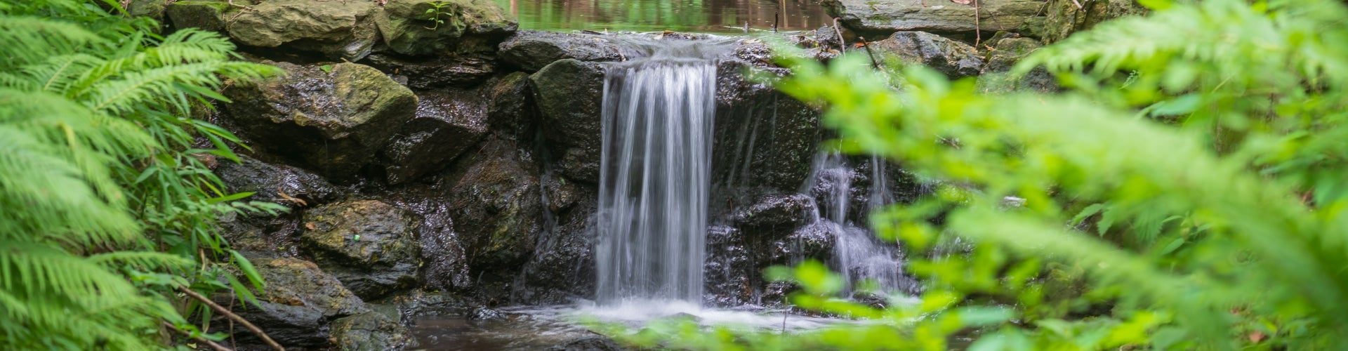 A small waterfall in a creek surrounded by rocks and green foliage.