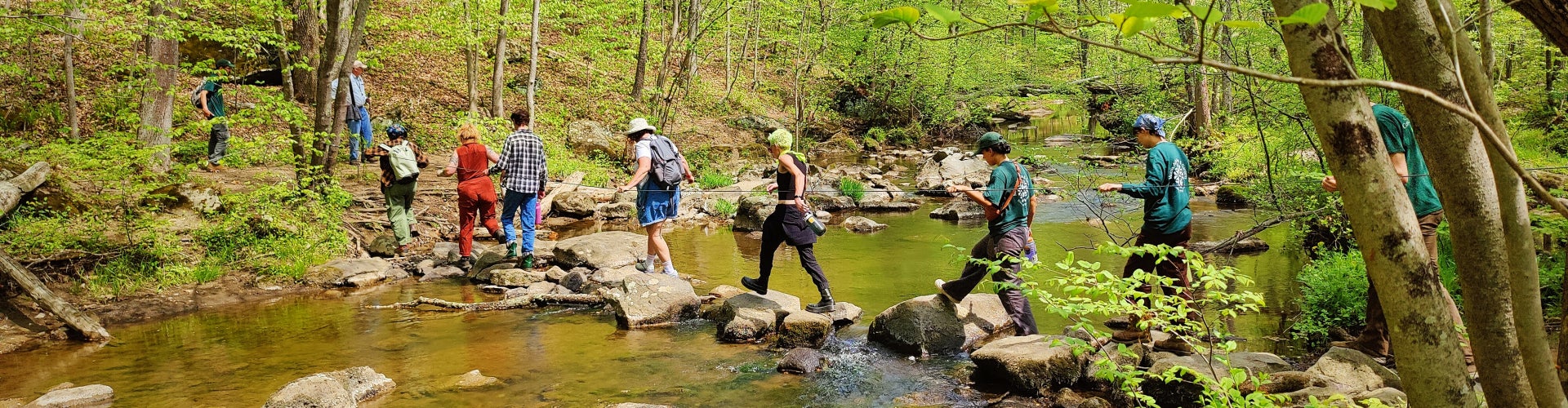 A group of people on a hike cross a creek using rocks and stones.
