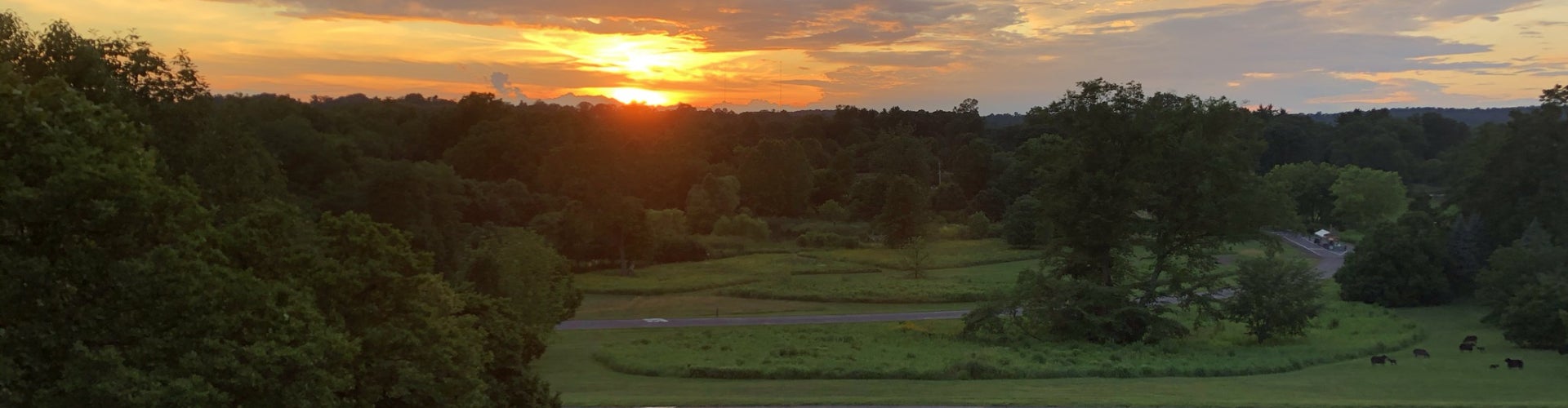 A sunset over a hill filled with trees, green grass, and a winding drive. 
